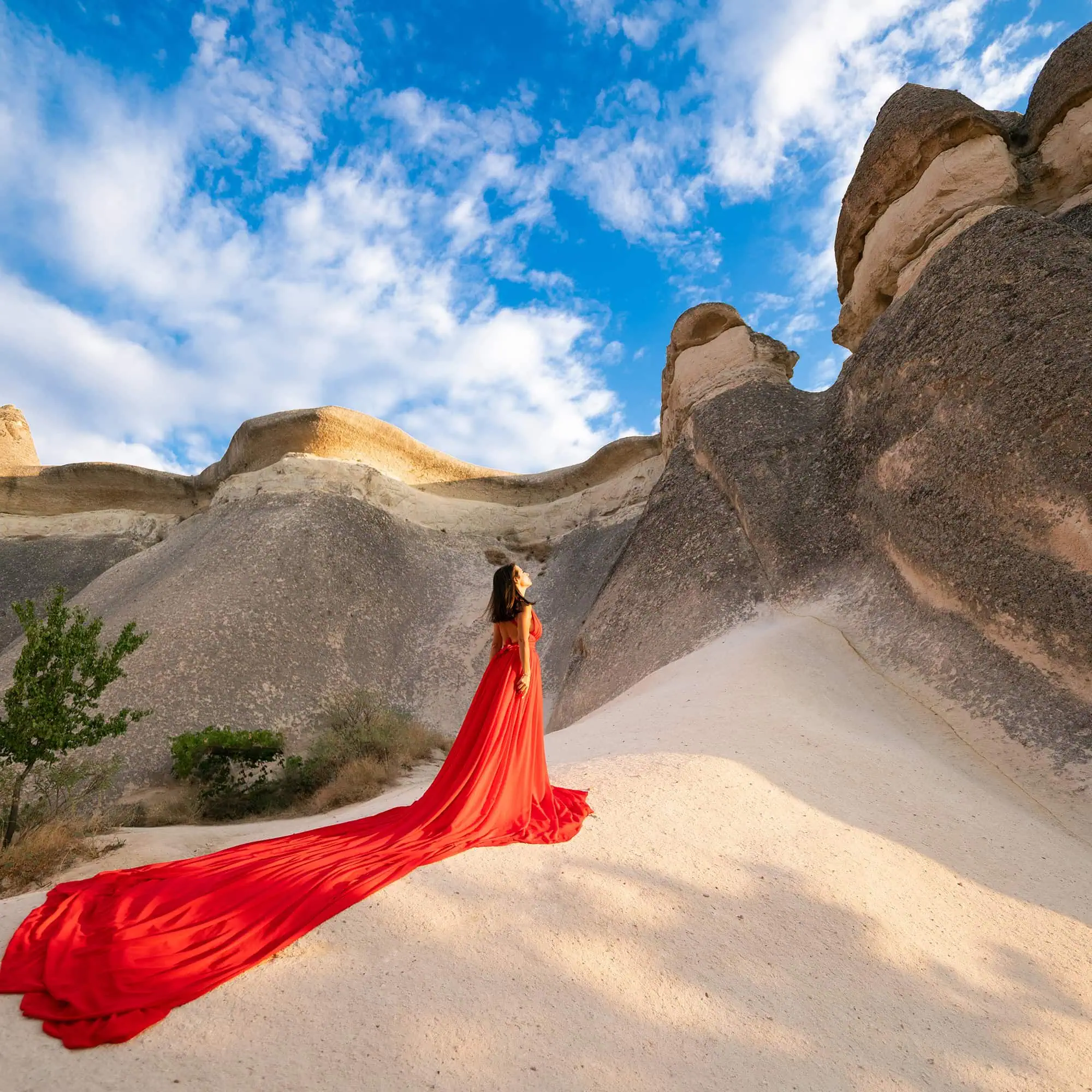 Ucan Elbise (Flying Dress) 1